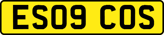 ES09COS