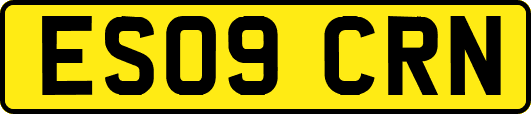 ES09CRN