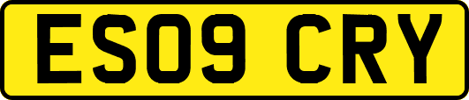 ES09CRY