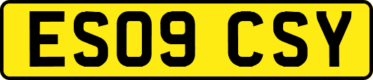 ES09CSY