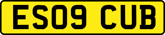 ES09CUB