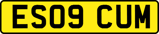 ES09CUM