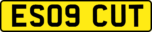 ES09CUT