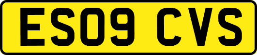 ES09CVS