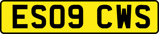 ES09CWS