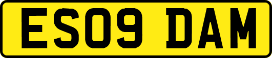 ES09DAM