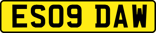 ES09DAW