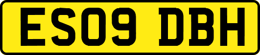 ES09DBH