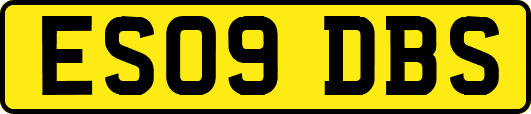 ES09DBS