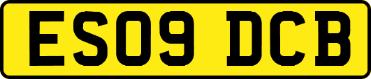ES09DCB