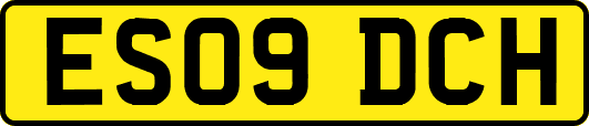 ES09DCH