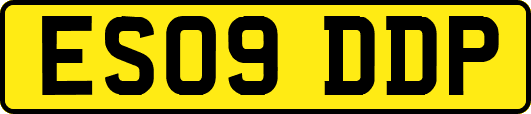 ES09DDP