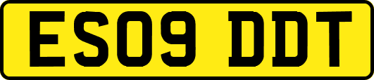 ES09DDT