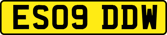 ES09DDW