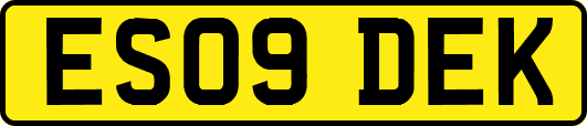 ES09DEK
