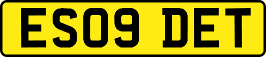 ES09DET