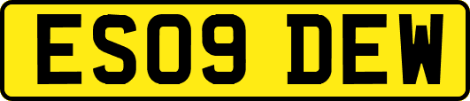 ES09DEW
