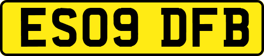 ES09DFB