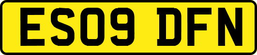 ES09DFN