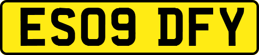 ES09DFY
