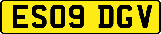 ES09DGV