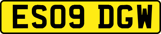 ES09DGW