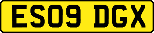 ES09DGX