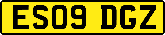 ES09DGZ