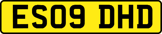ES09DHD
