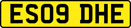 ES09DHE
