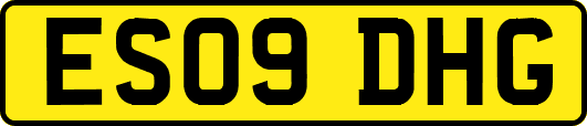 ES09DHG