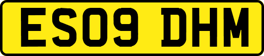 ES09DHM