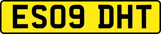 ES09DHT