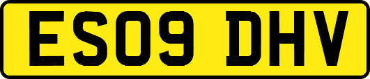 ES09DHV