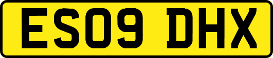 ES09DHX