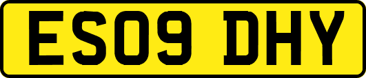 ES09DHY