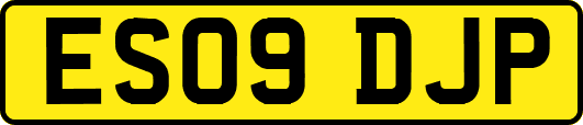 ES09DJP