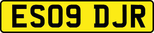 ES09DJR