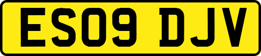 ES09DJV