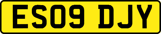 ES09DJY
