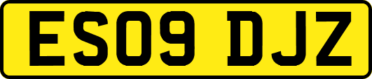 ES09DJZ