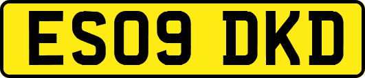 ES09DKD