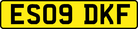 ES09DKF