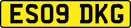 ES09DKG
