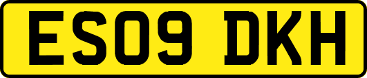 ES09DKH