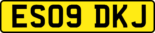 ES09DKJ