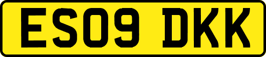 ES09DKK