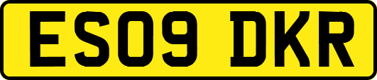 ES09DKR