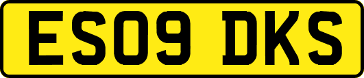 ES09DKS