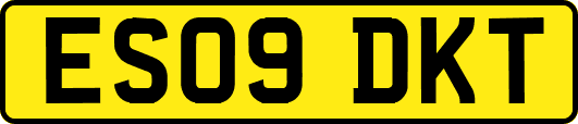 ES09DKT